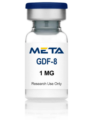 GDF-8 (Myostatin)